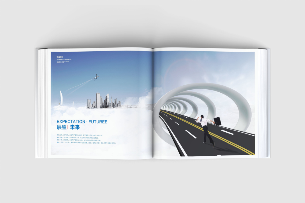 勃利县画册设计